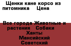 Щенки кане корсо из  питомника! › Цена ­ 65 000 - Все города Животные и растения » Собаки   . Ханты-Мансийский,Советский г.